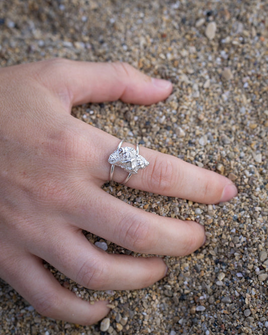 Anillo Caracola