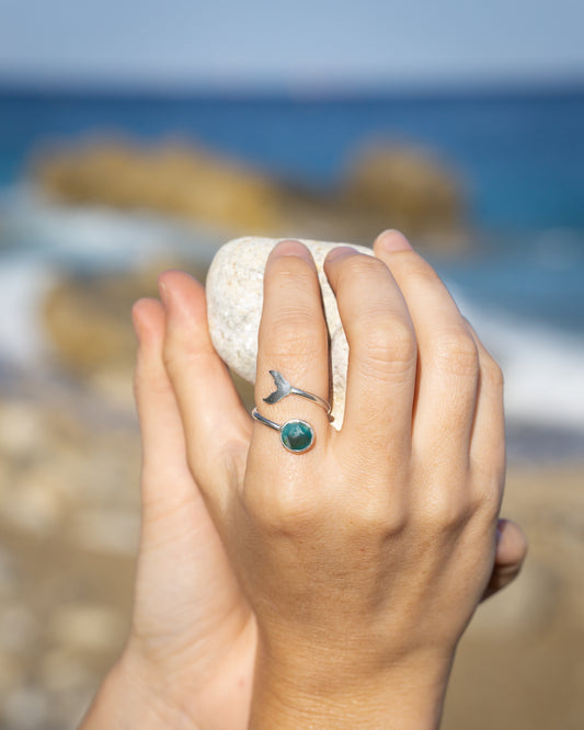 Anillo Ballena