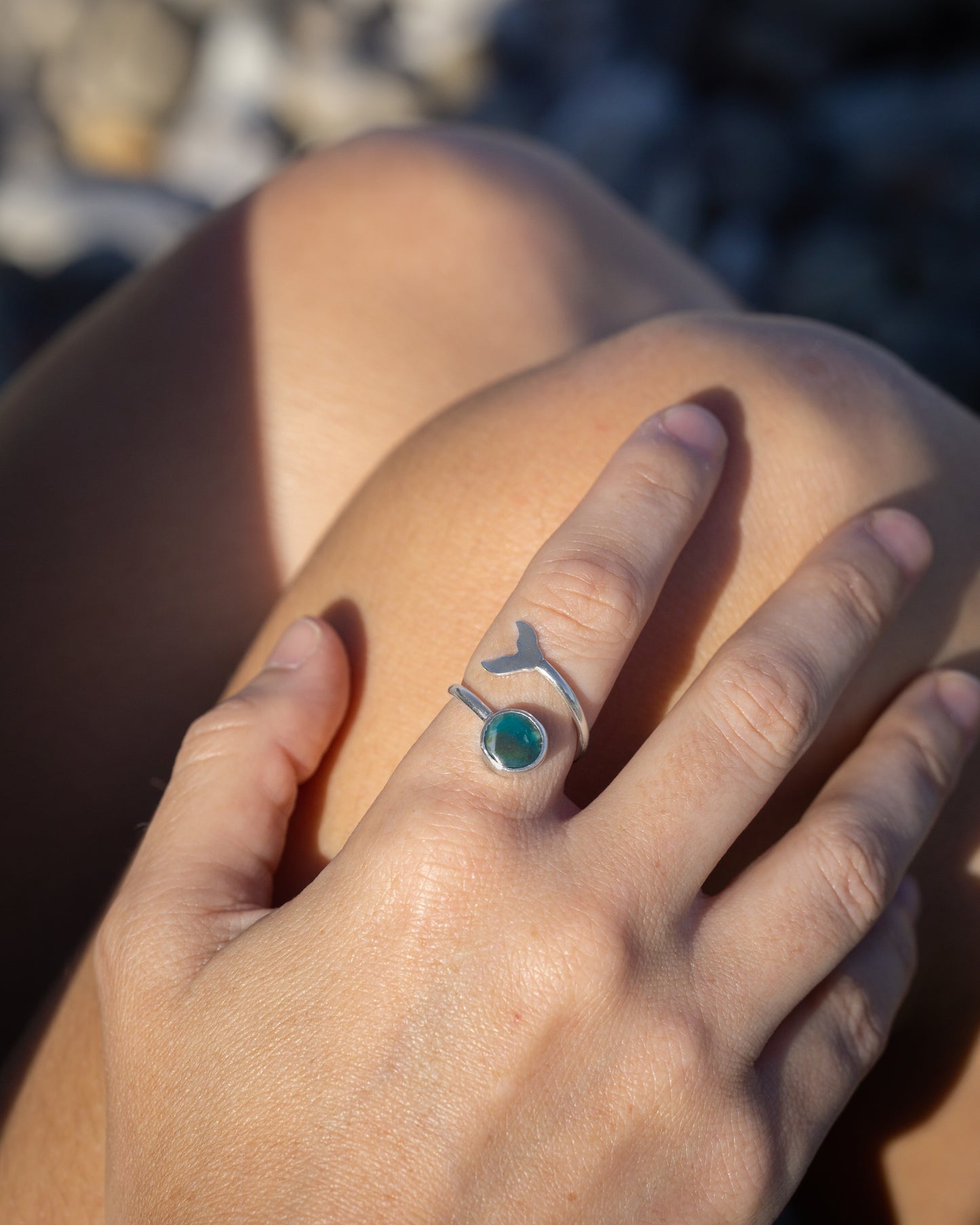 Anillo Ballena