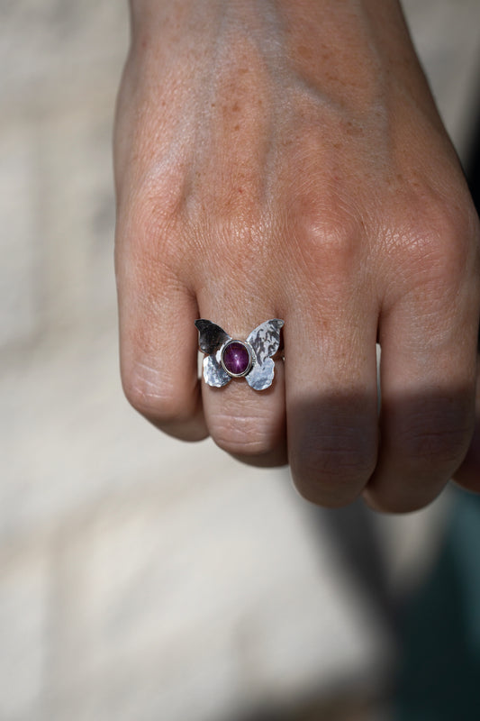 Anillo Halley