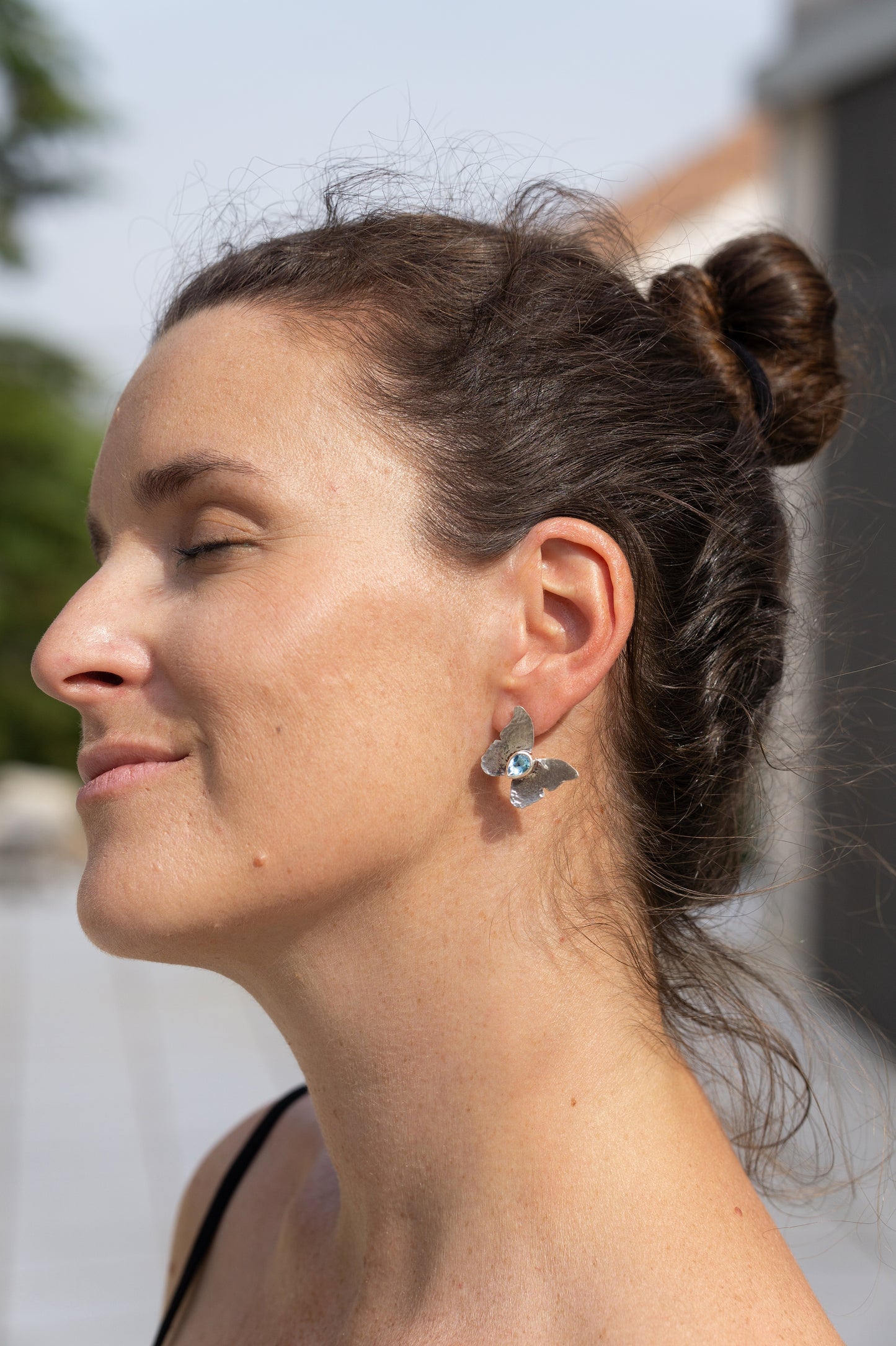 Pendientes Vaisala